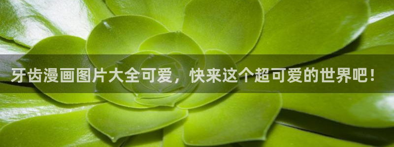 耽美漫画下载