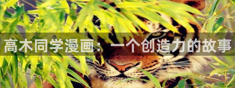 耽美漫画在线免费观看